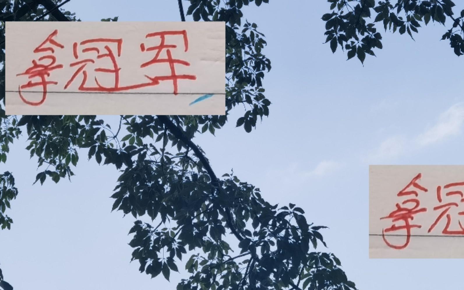 今年拿冠军年轻人北京国安有林皇海