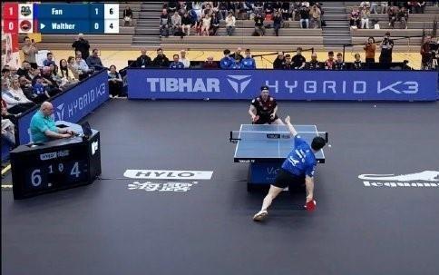 乒乓球德甲：樊振东31战胜沃尔瑟，收获