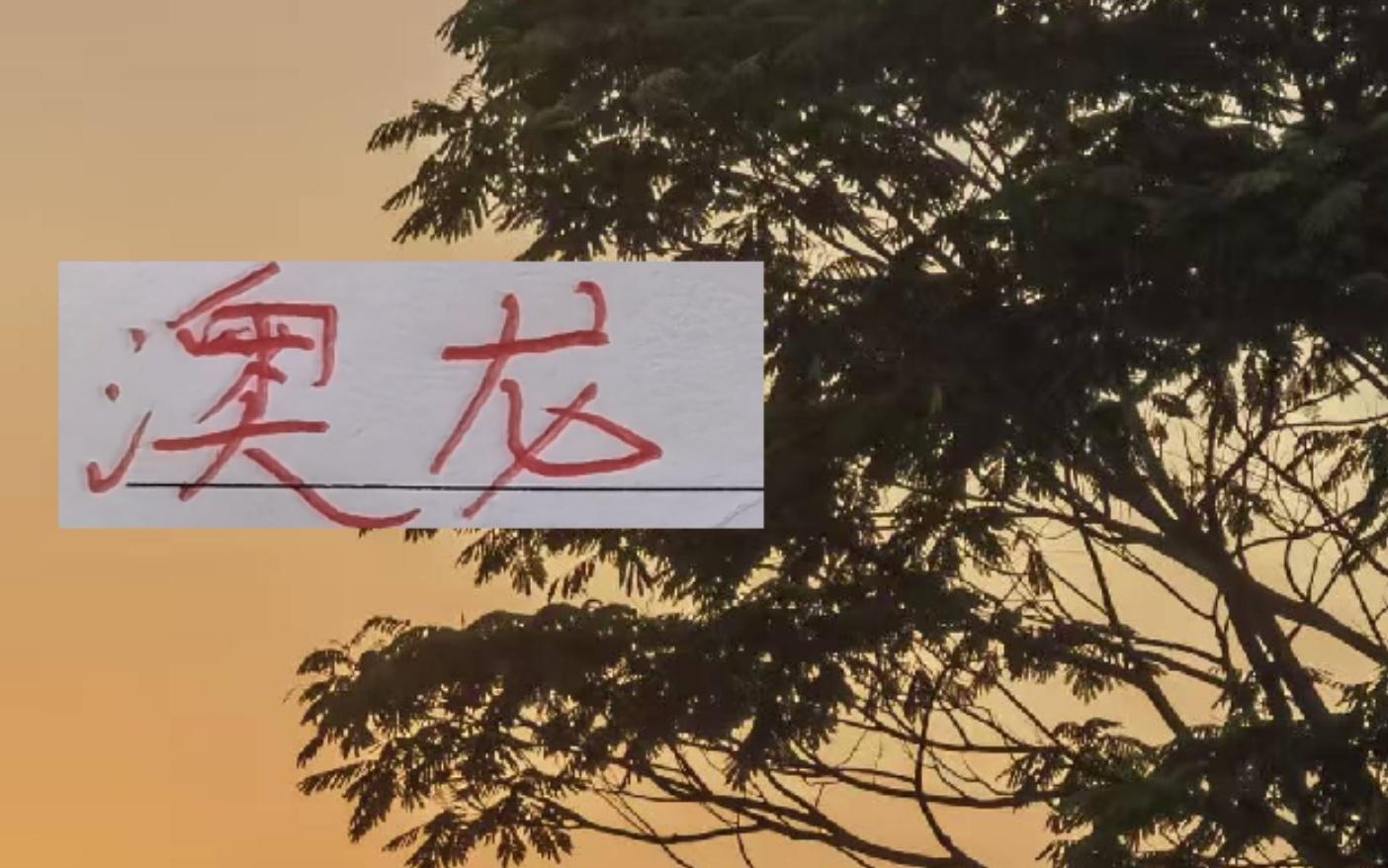 澳龙上场浙江挖角海港助教成功未来