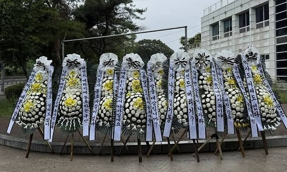 韩媒：对奇诚庸转会不满，首尔FC球迷集