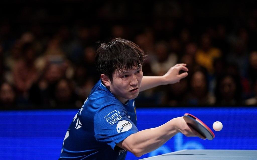 2026年首战独得两分，樊振东率队挺进乒乓德国杯决赛