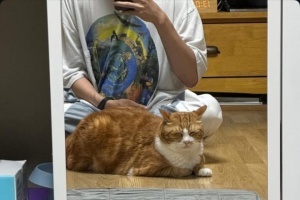 肉眼可见的壮了许多~！Deft休假更新INS 发布了与小猫的合照