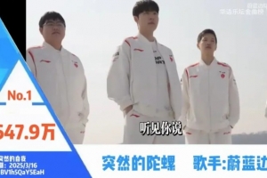 LPL年度流量金曲排行榜前十歌曲：突然的陀螺2600万播放断层领先