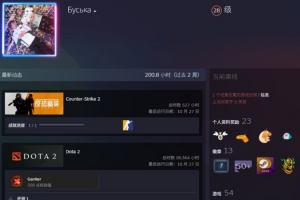 Malr1ne的DOTA2账号被封禁,skiter直言要找个新中单