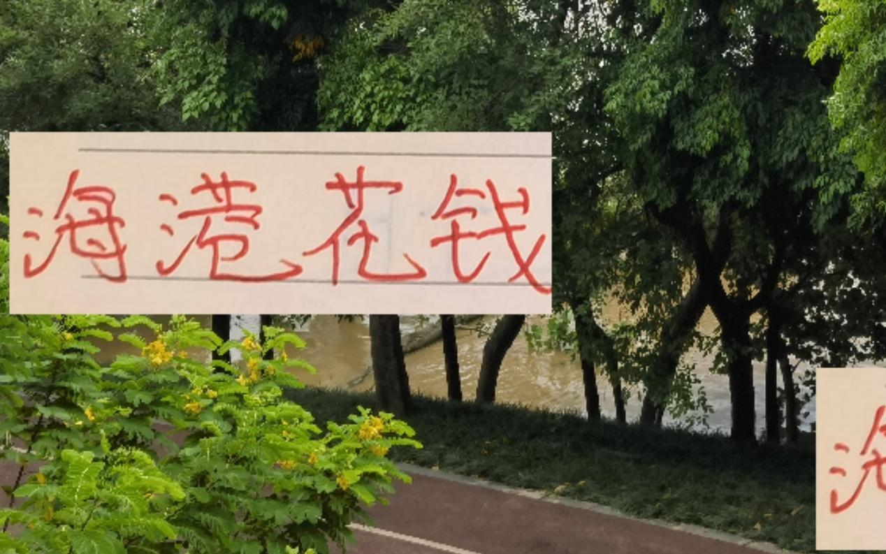 海港花钱至少听见响申花也听见一点