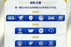 媒体人：RNG这快开赛连个公告都没有联盟这席位费都不知道付给谁