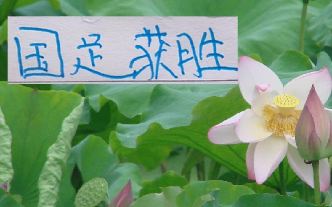 不容易呀国足赢球啦！申花买新外援还