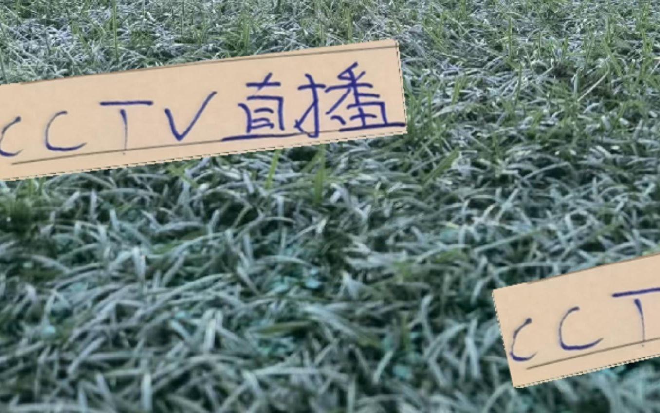 神奇一击!第27轮排名第一海港没得CCTV直播但申花还是有直播的