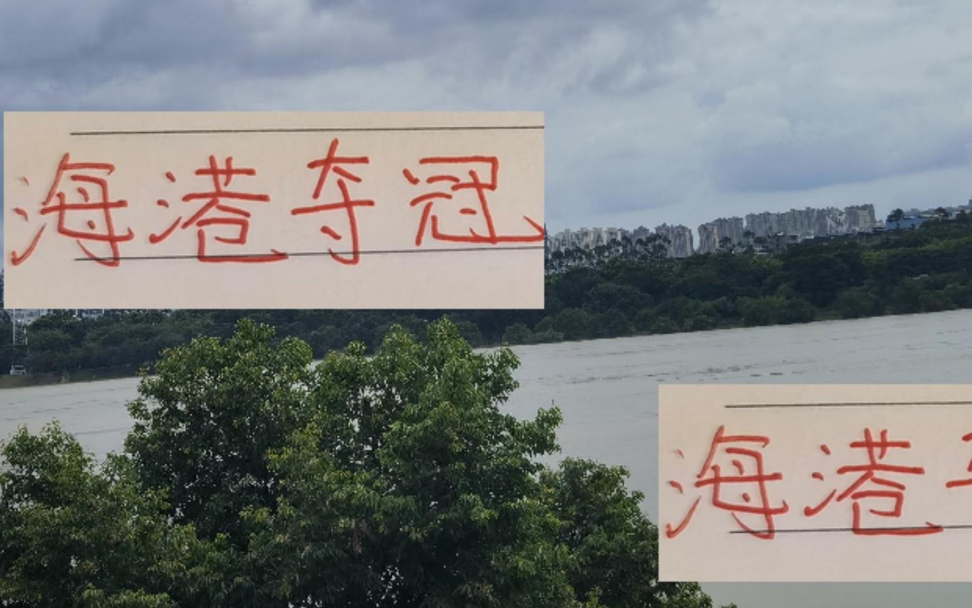 今年海港能否夺冠关键还是武磊接班