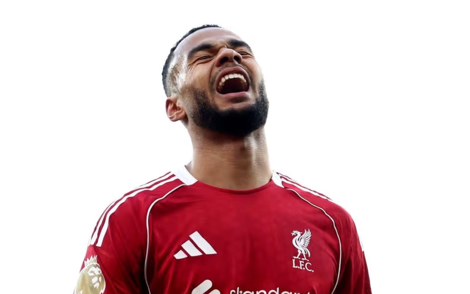 前曼联助教：加克波在利物浦很开心，但