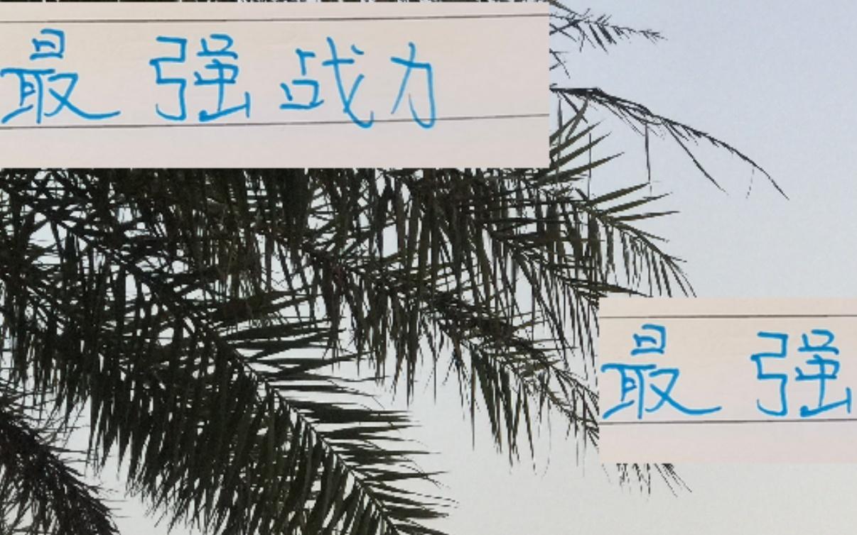 最强战力都在包厢情况下！申花进攻和