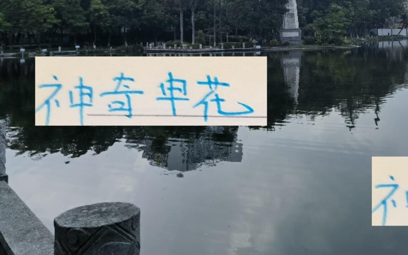 神奇申花！没有一个人进球双位数但他