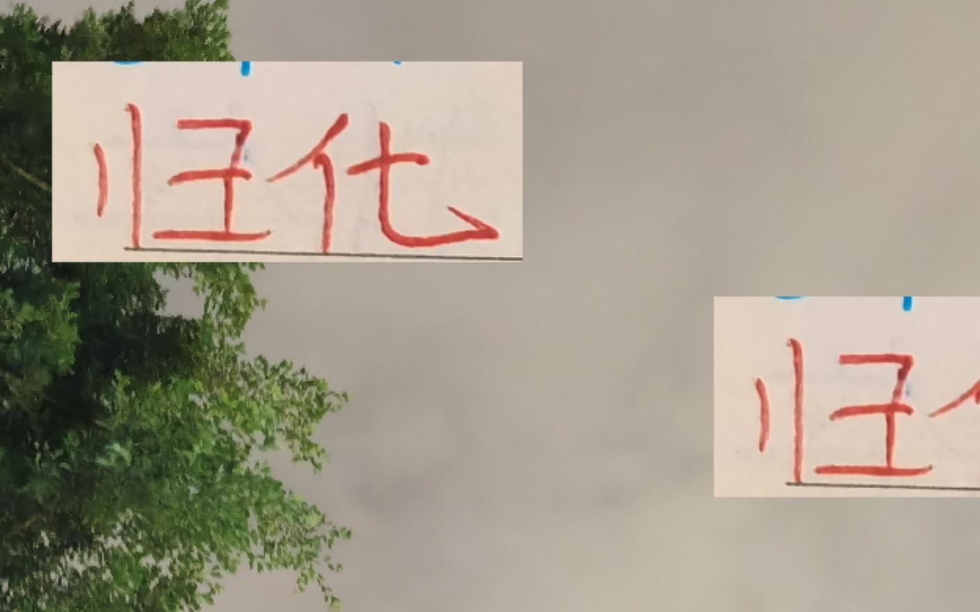 中超前4的归化球员海港的蒋光太申花的李可也是物有所值