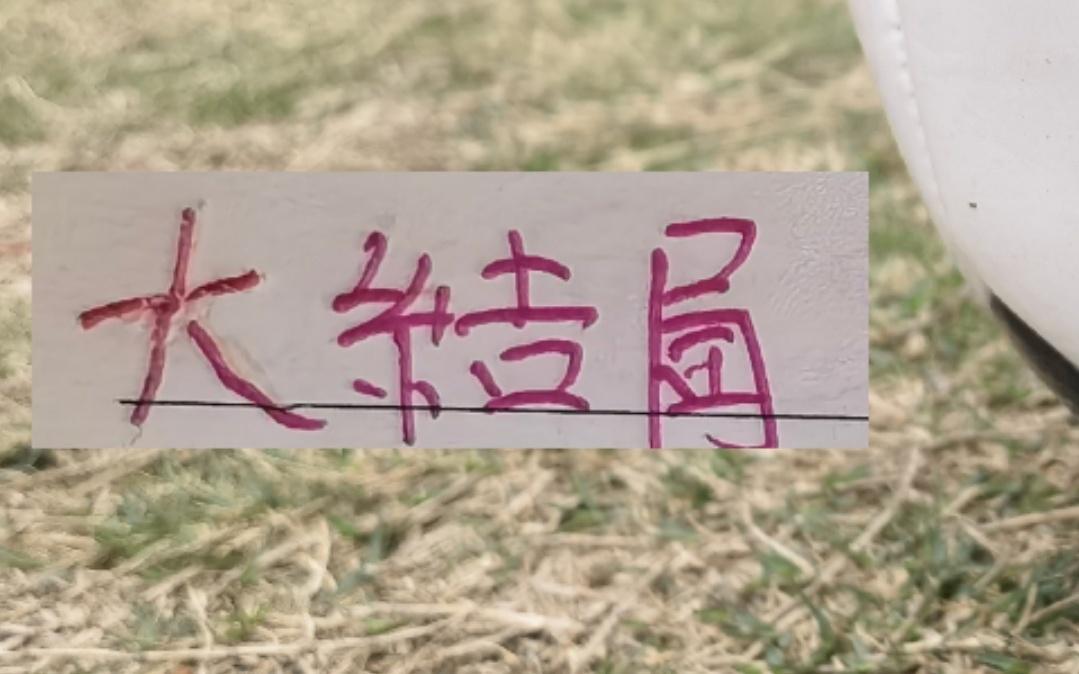 海港引援也基本大结局！新人里面谁才是真正大腿