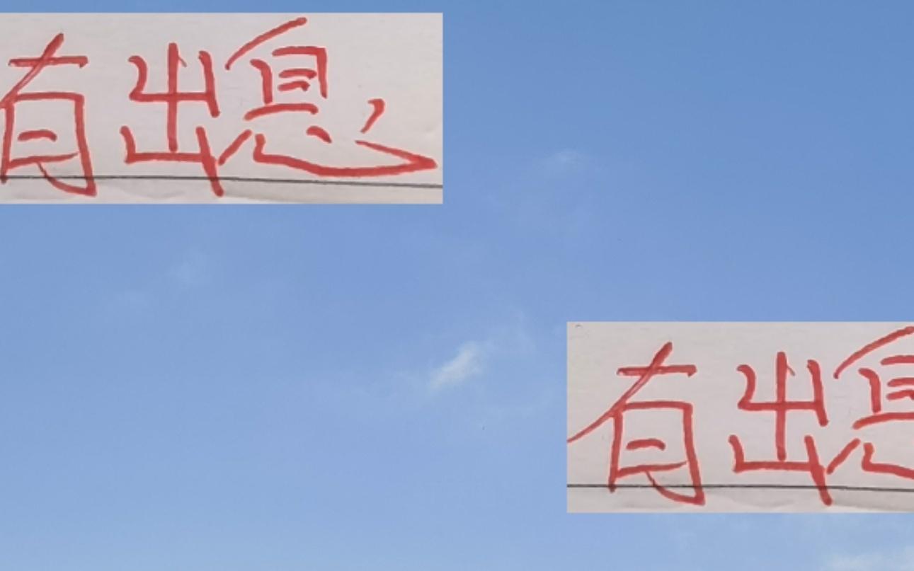 有出息了！2025赛季海港的上座率跟申