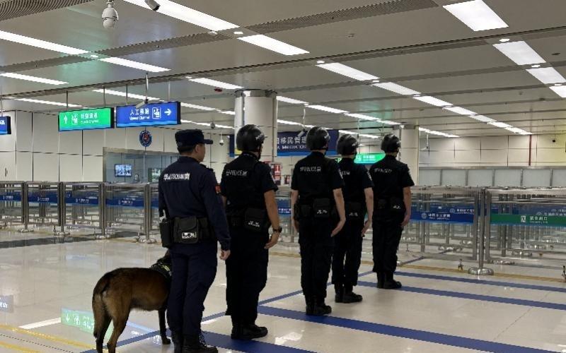 历史首次深港跨境马拉松将开赛，揭秘运动员如何丝滑通关