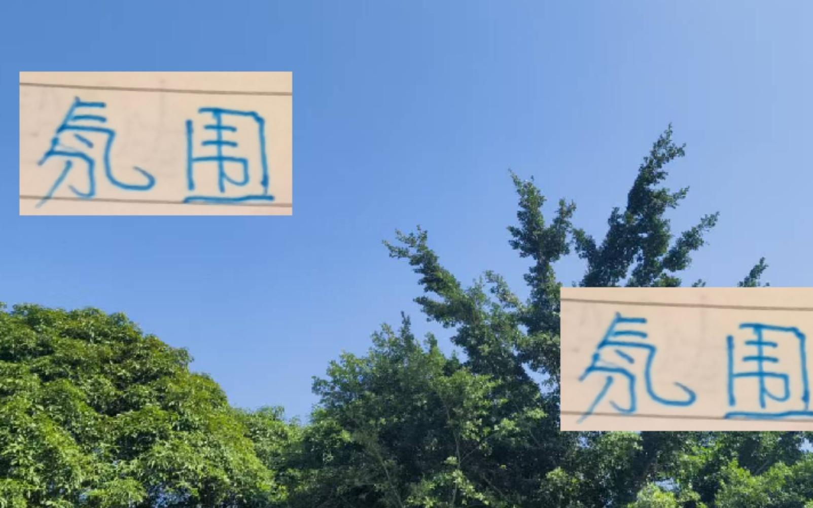 天津跟申花氛围造的这么满！并没破五