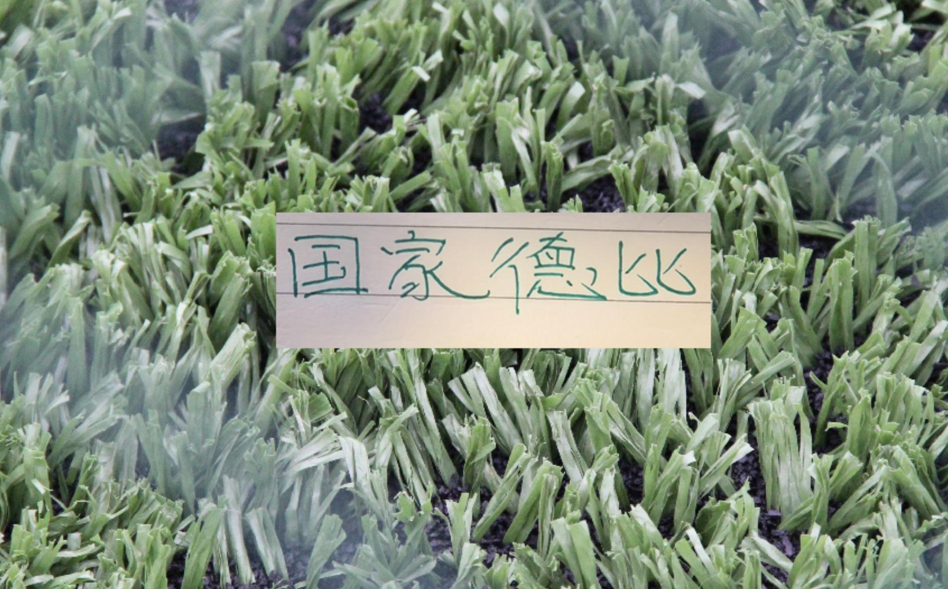 北京国安和申花算不算中超国家德比