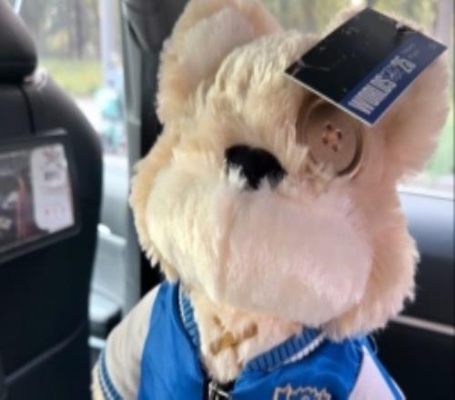 Ming晒照：上班上班给提伯斯找位现场有缘人