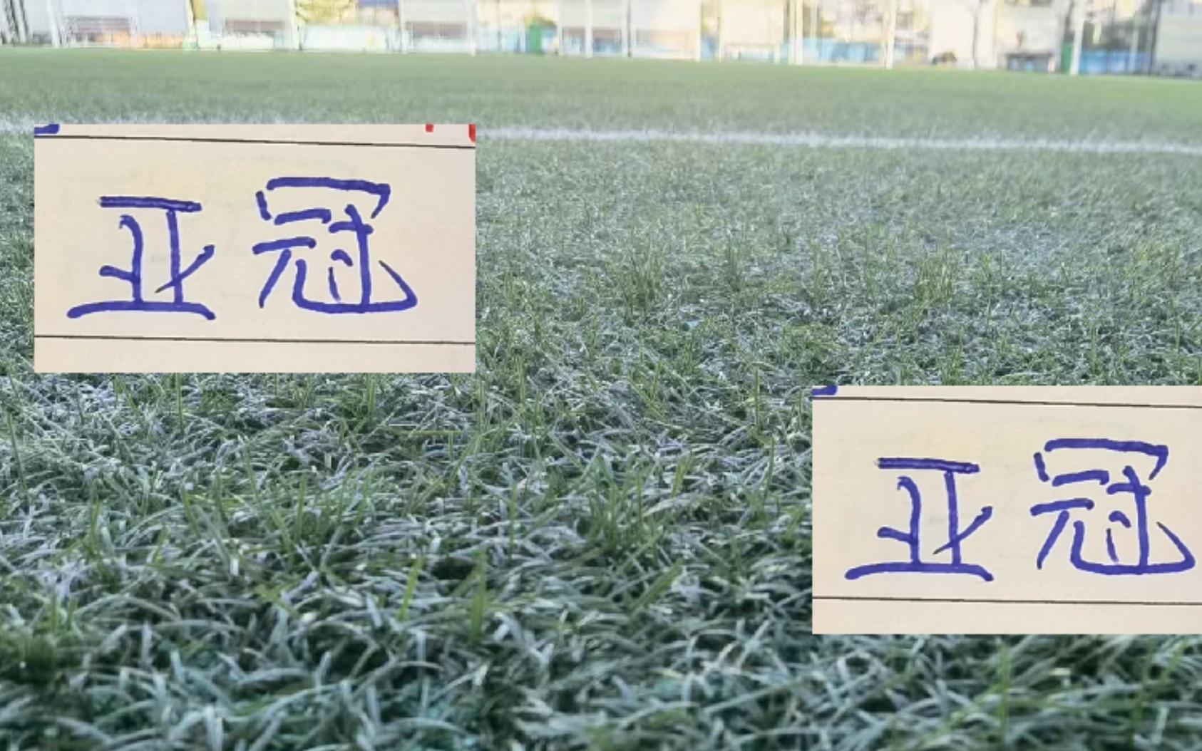 海港最后主场能迎来亚冠首胜吗还能