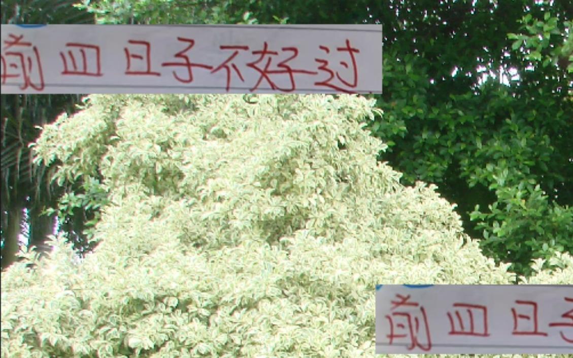 除榜首成都！前4日子都不好过申花名