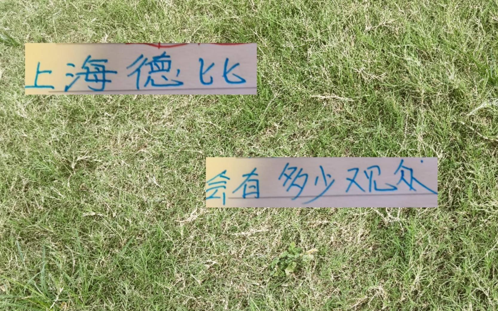 上海德比申花主场会有多少观众毕竟