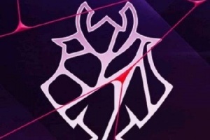 兔宝亮剑吧！G2转发Bin世一上言论：好但我们不同意