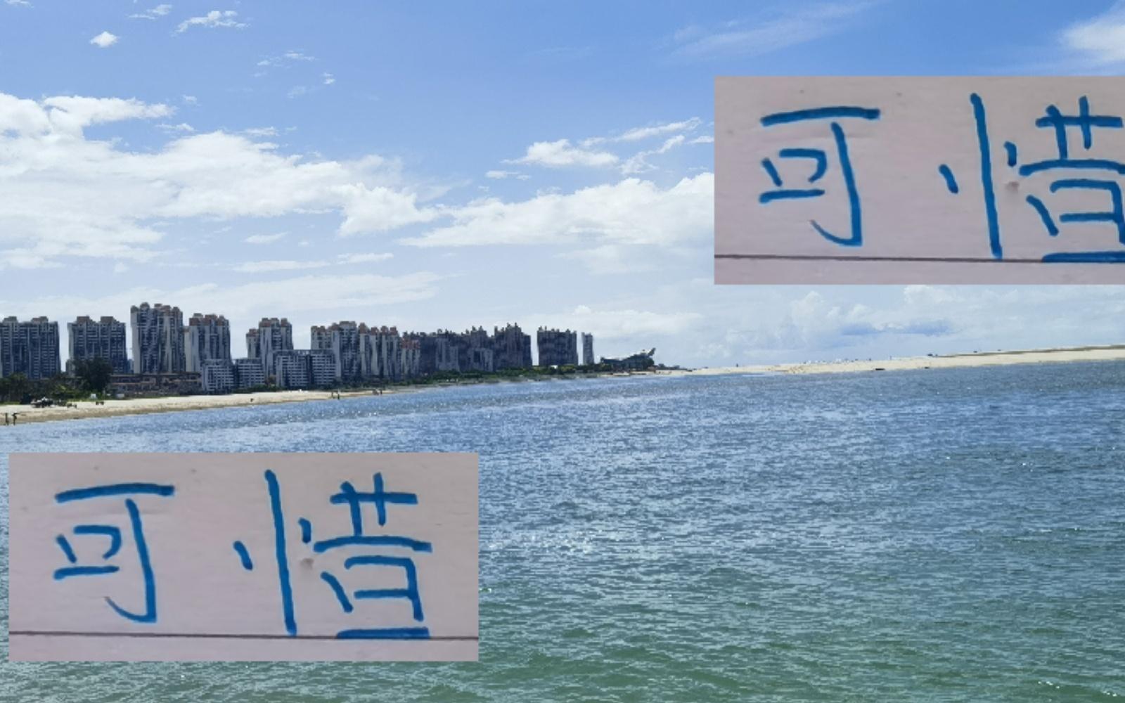 可惜！海港红申花蓝明年没有办法一年四次见面了