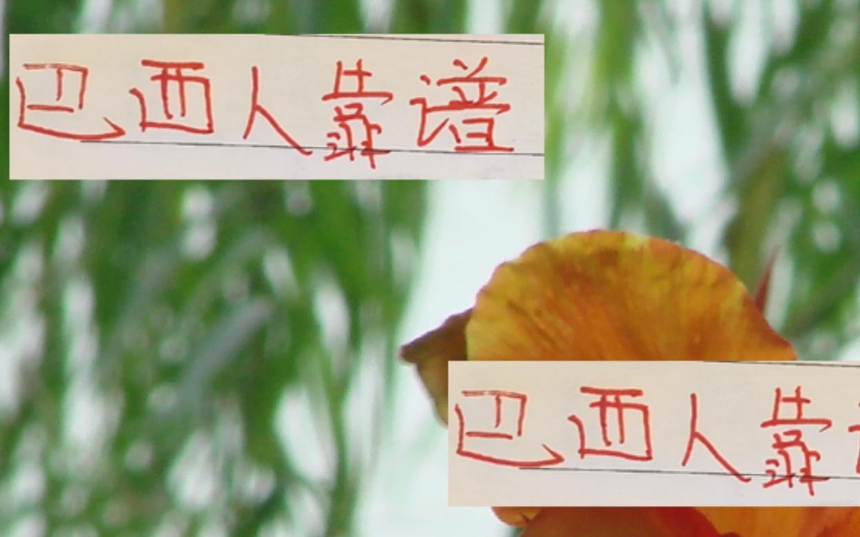 还是巴西外援靠谱！从海港巴西帮再到