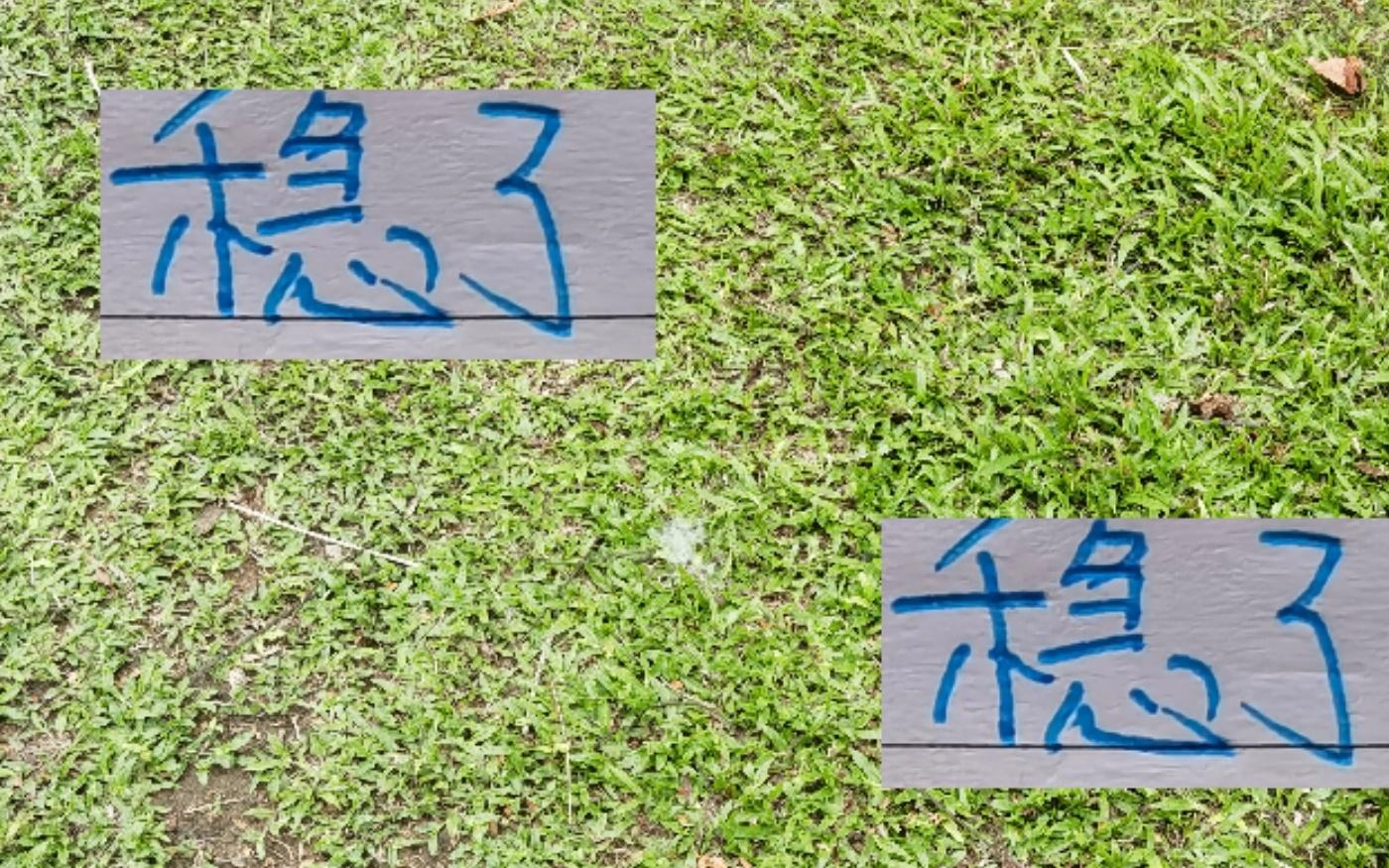 稳了！最后一轮海港+申花的比赛都有央视直播你选择看哪场