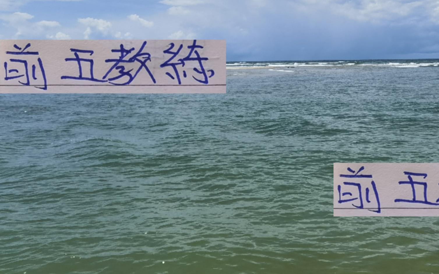 还剩4轮!明年前5的教练就只有申花斯卢茨基是官宣续约
