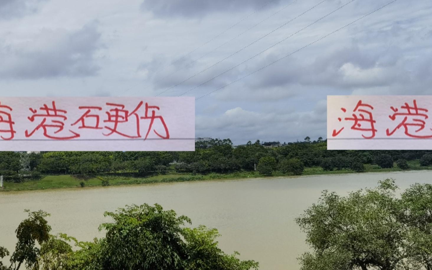 除海港外！前5主场都有超4万场次海港