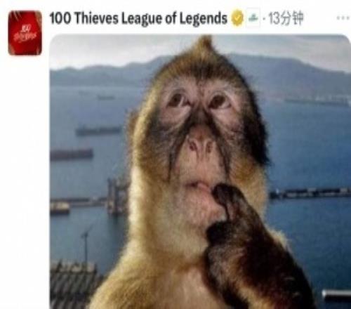 昨天狂完了！100T赛后更推：我向你道歉，我不了解你LPL的实力！