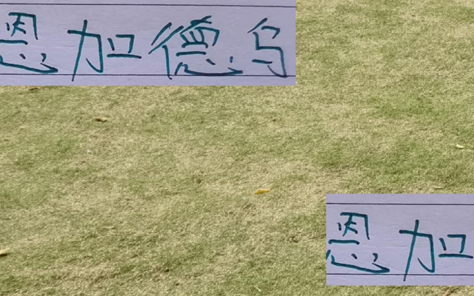 北京国安后防猛将恩加再次入选国家