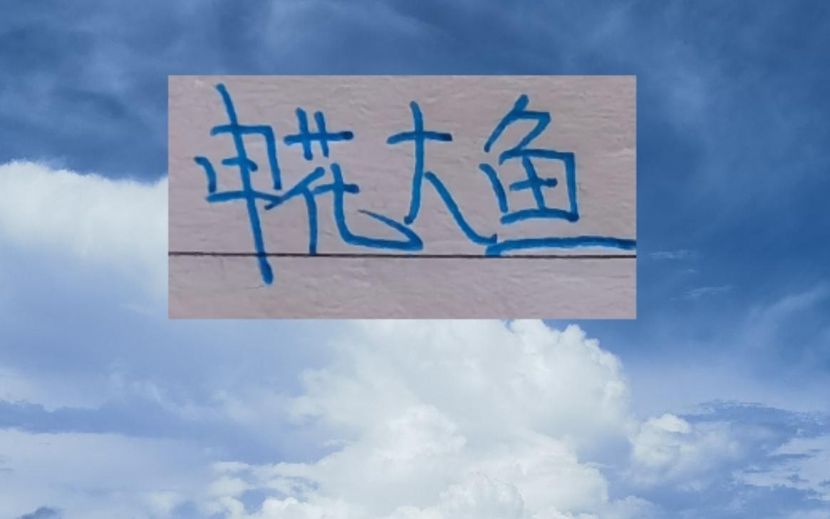 申花大鱼终于上岸了！切尔西教练2026年第一天下课