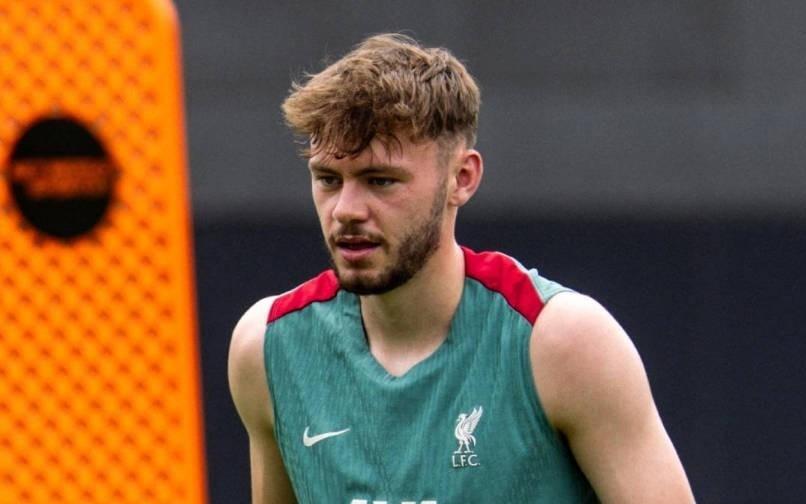 邮报：即使北爱尔兰进世界杯正赛，布拉德利也几乎确定将缺席