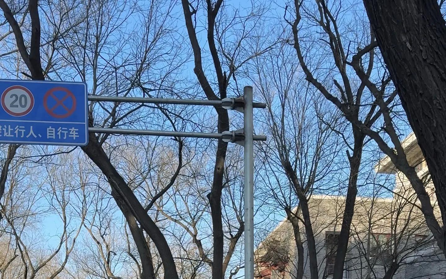 王楚钦社媒晒北大入学：冬去秋来，又是一程