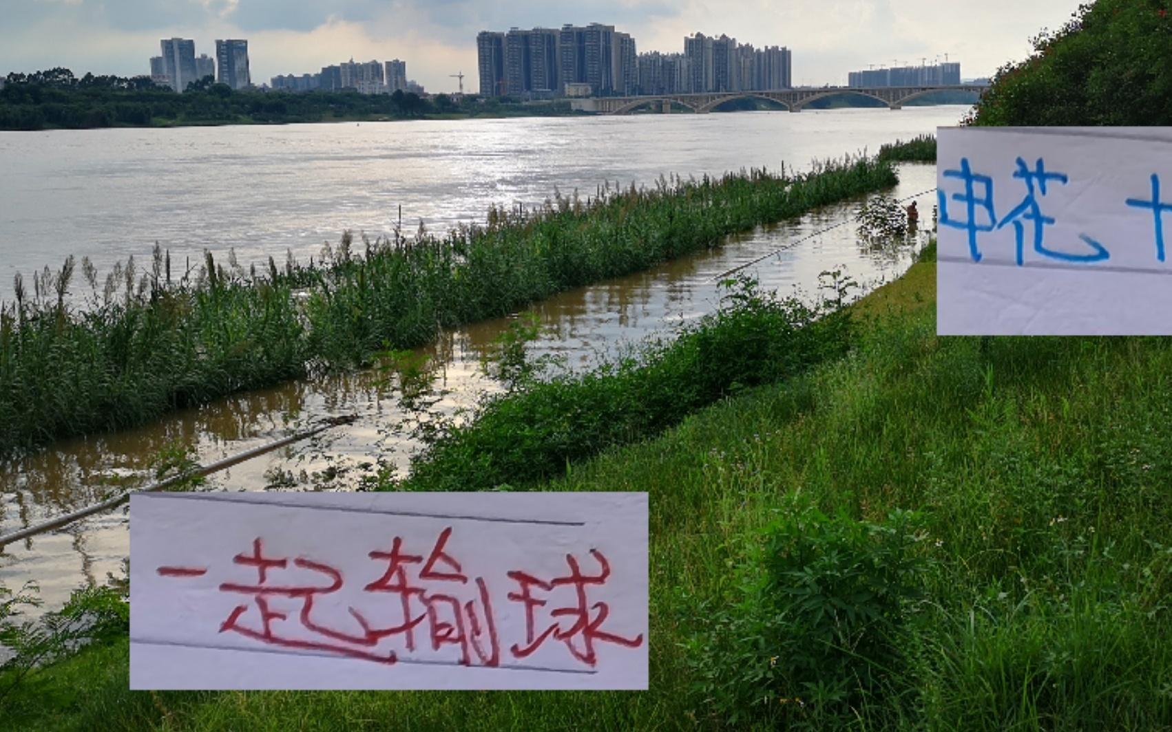 联赛还剩七轮!申花要逆天改命主场打山东+成都要不输球才行
