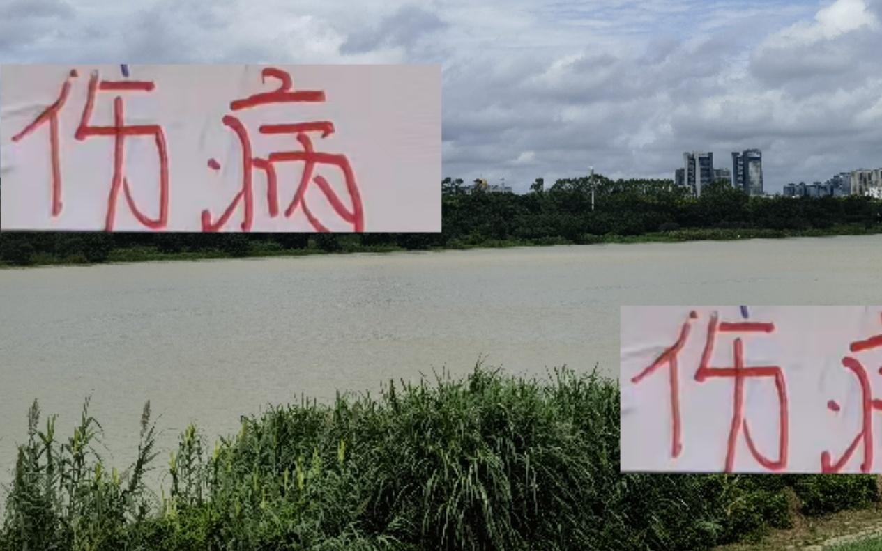 从年初伤到年末申花跟海港伤病不断但依然拿到老二跟中超冠军