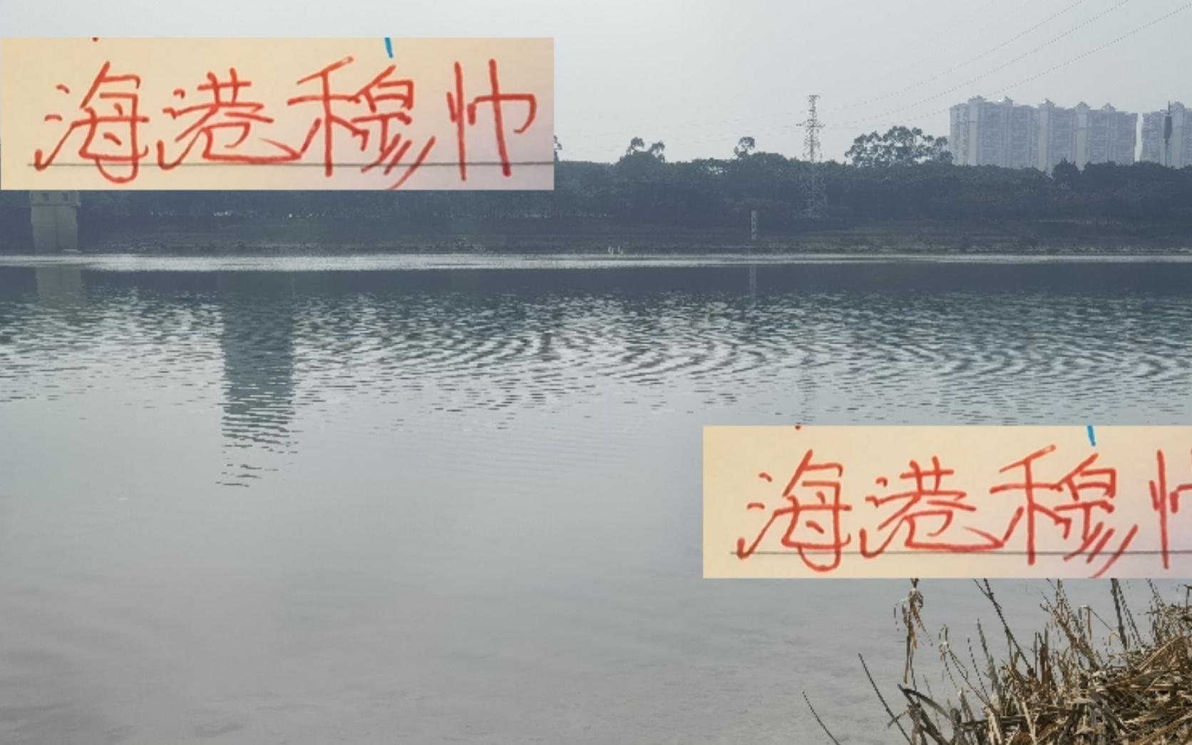 有点不理解！海港穆帅年度教练没资格