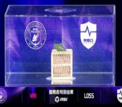 ASI赛事现场：蝈蝈预测BFX将战胜NS！