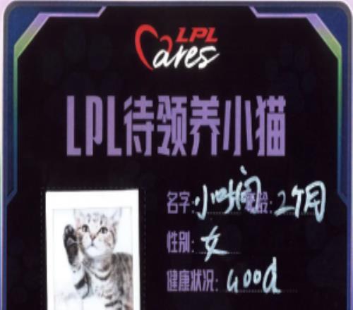 补救未晚腾竞回应全明星公益中粉丝领养“病猫”：已关注并全面救治小猫