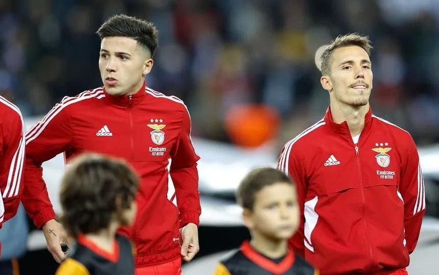 格里马尔多：当年本菲卡战术围绕恩佐