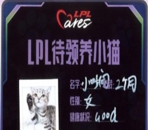 草台班子LPL全明星公益领养活动暴雷网友称领养猫携带猫瘟感染原住民