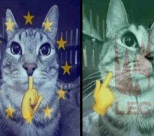 G2：NA总喜欢吹嘘他们的自由，现在我明白了NA太他么自由了