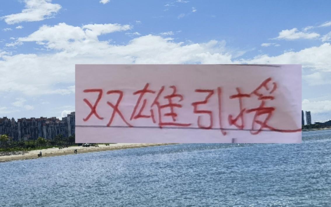 坐拥海港徐新申花费尔纳多云南玉昆能起飞吗