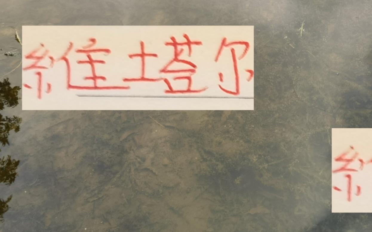 海港奥斯卡后继有人维塔尔已是中超