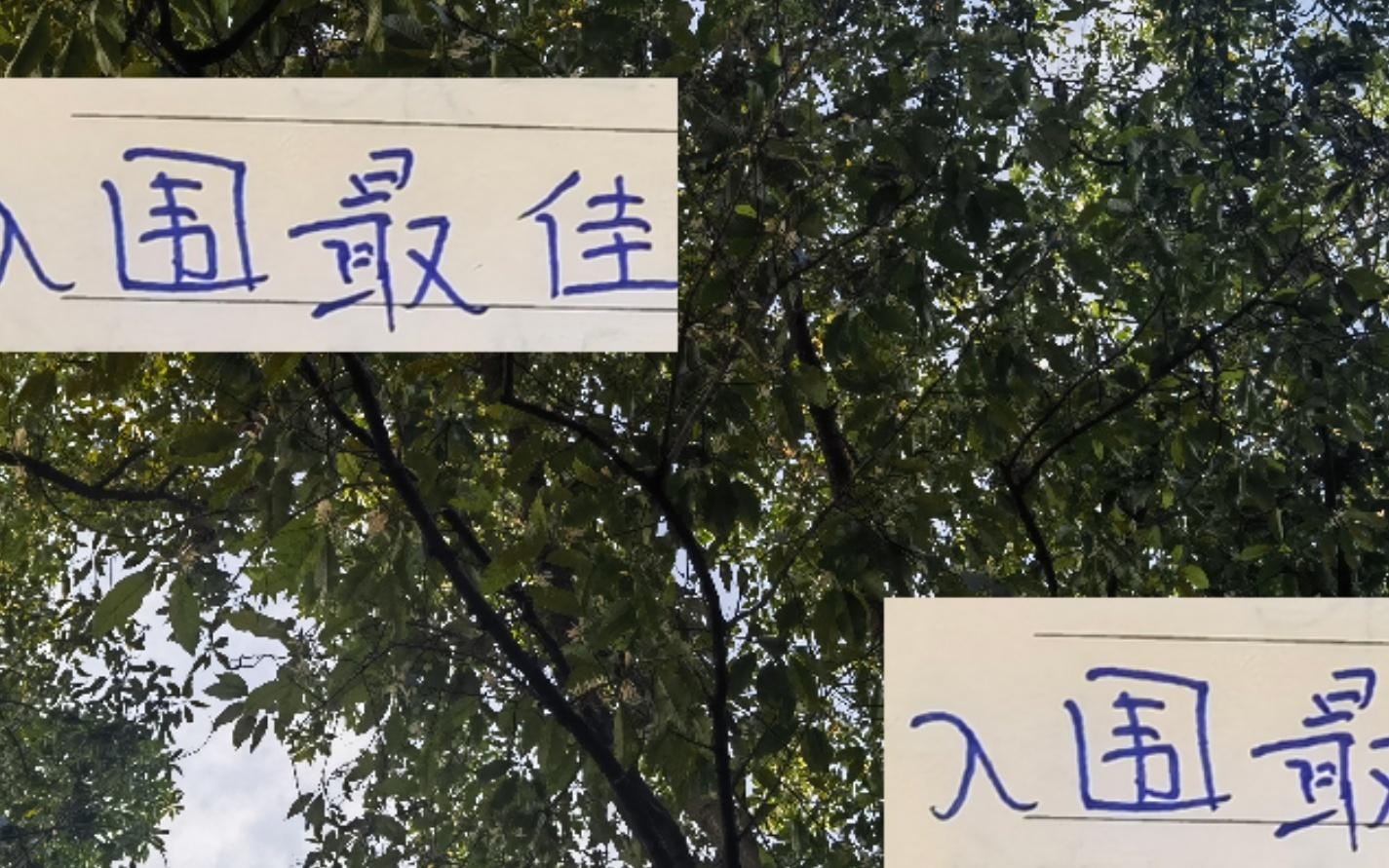 上海双雄入围中超最佳单轮候选海港