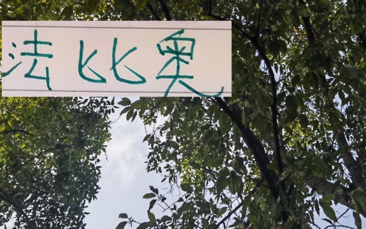 西班牙教头走后！北京国安大佬法比奥
