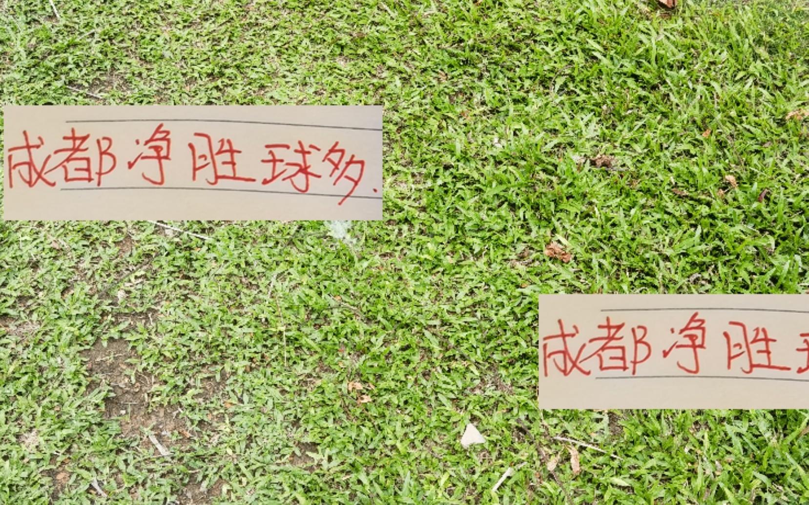 中超前4！成都蓉城进球最少但净胜球
